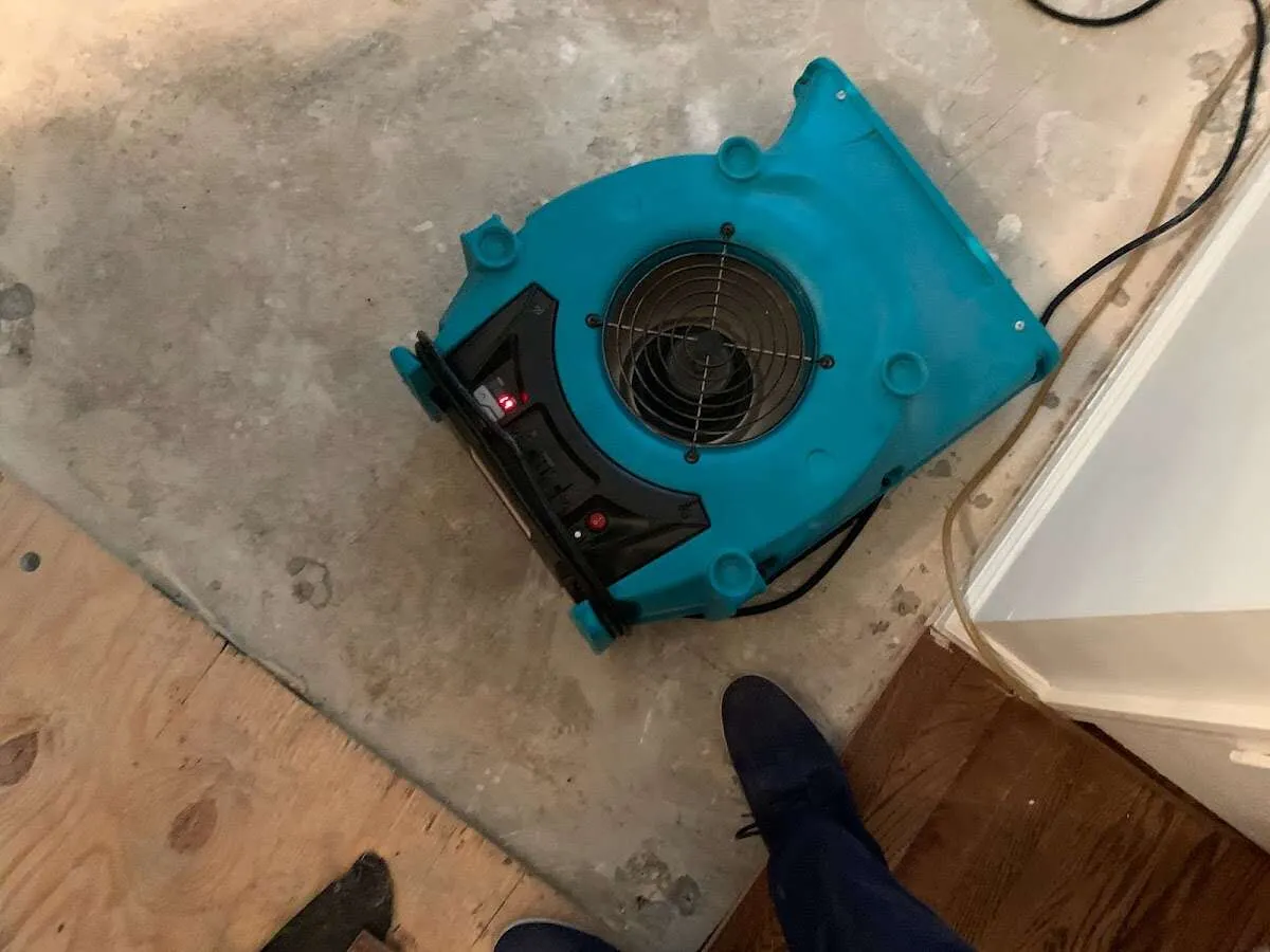 Air mover drying subfloor during Leak Detection & Repair in Artondale
